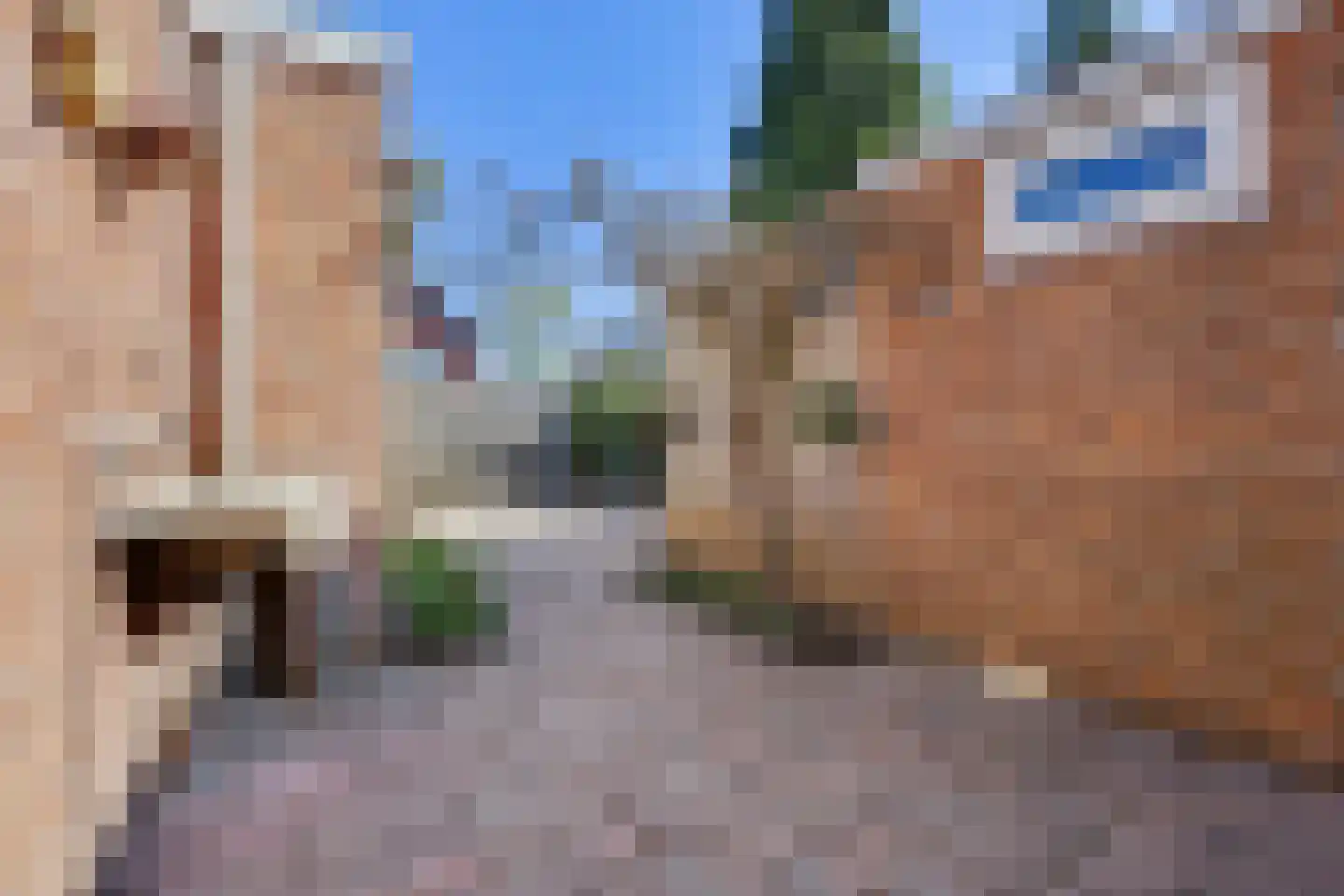 Kamperfoeliestraat 65 Hengelo thumbnail 31