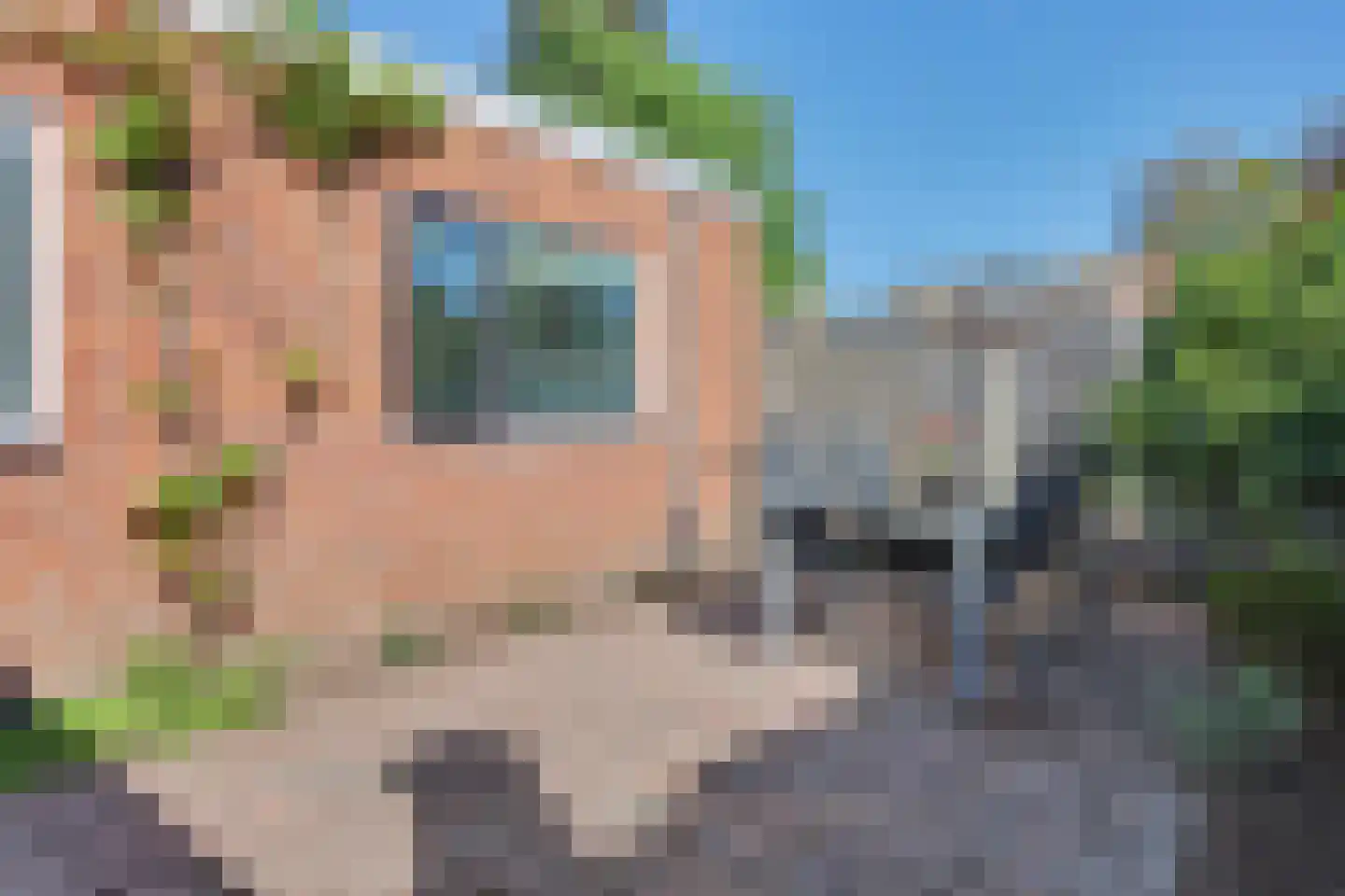 Kamperfoeliestraat 65 Hengelo thumbnail 33