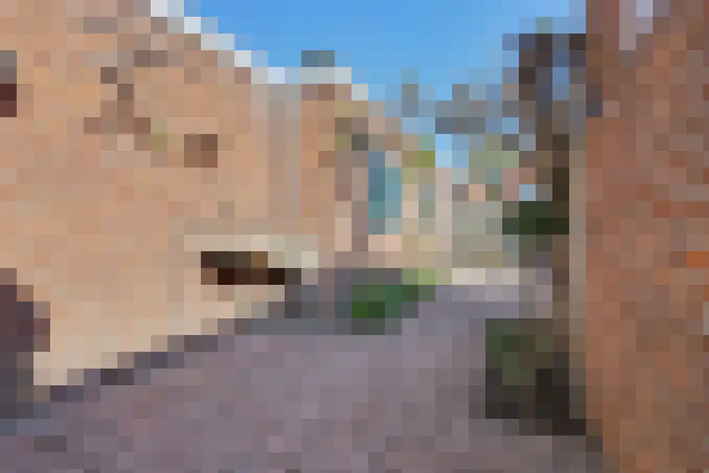 Kamperfoeliestraat 65 Hengelo thumbnail 34