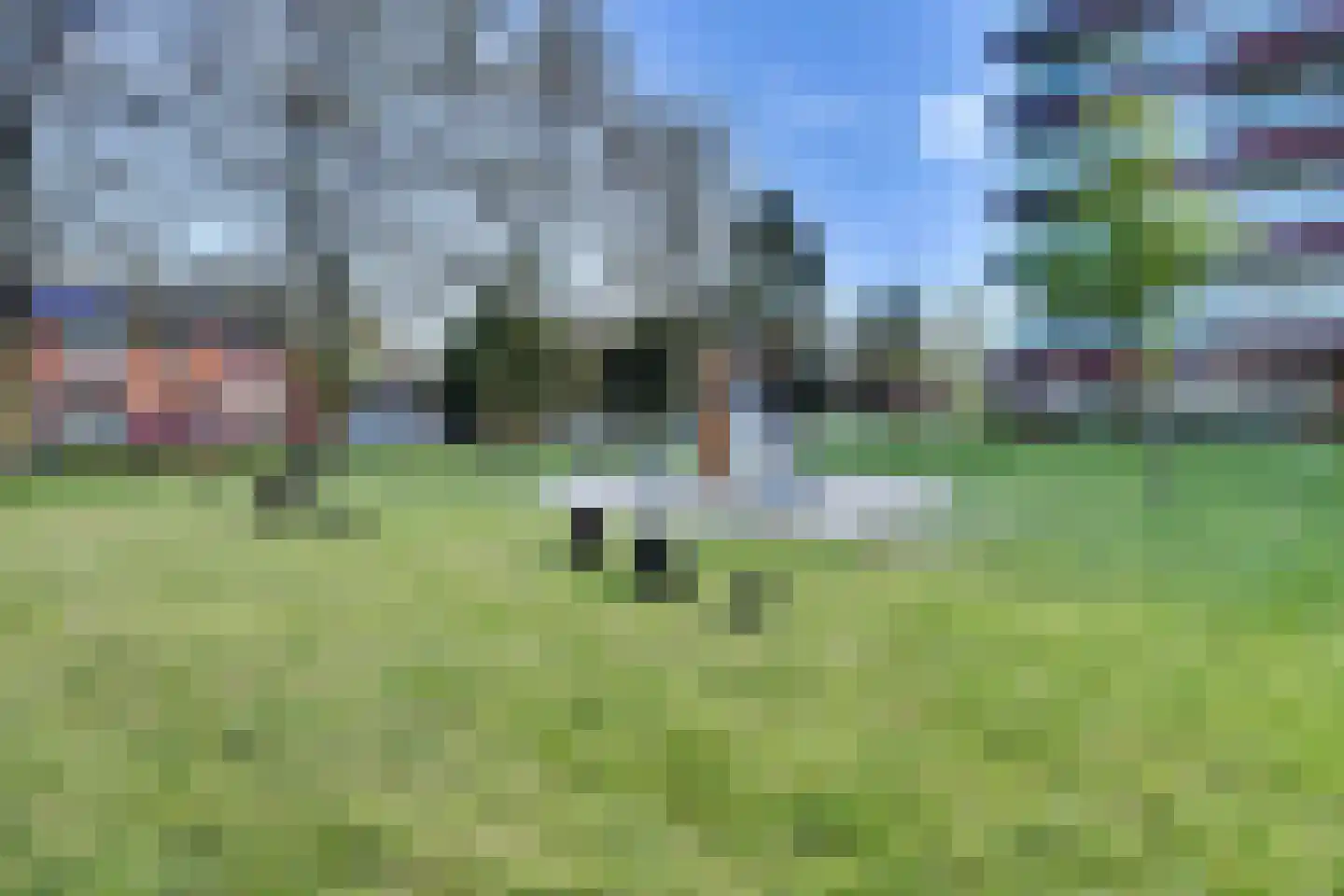 Kamperfoeliestraat 65 Hengelo thumbnail 37