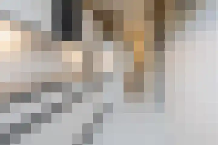 Kamperfoeliestraat 69 Den Haag thumbnail 15