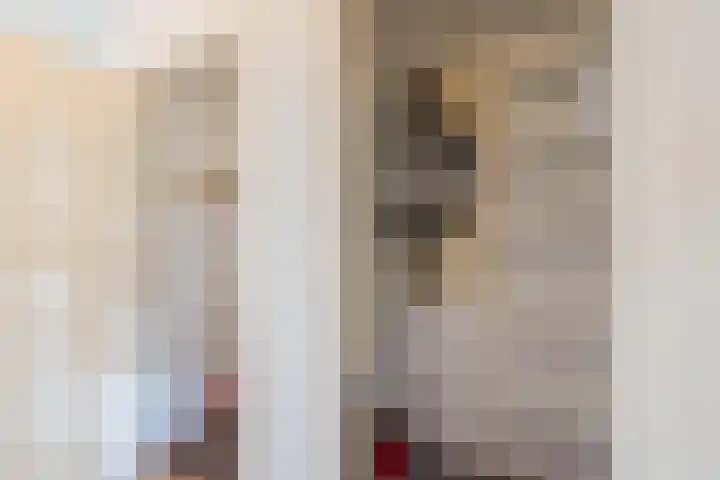 Kamperfoeliestraat 69 Den Haag thumbnail 23