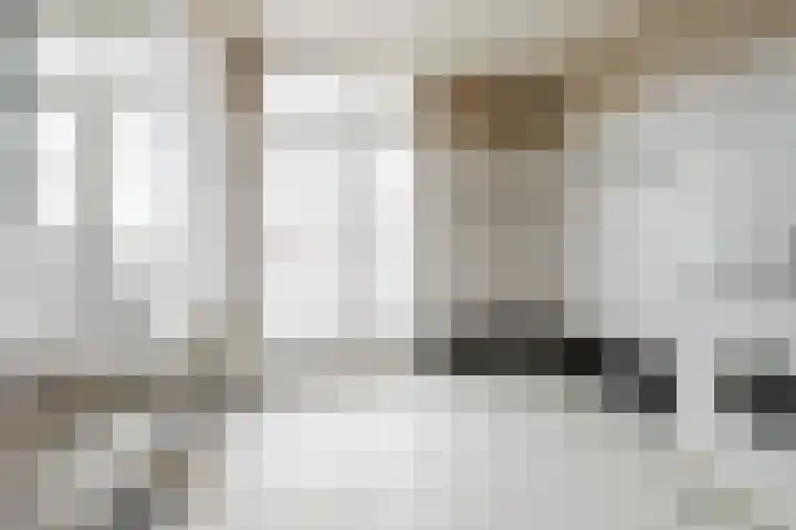 Kamperfoeliestraat 69 Den Haag thumbnail 31