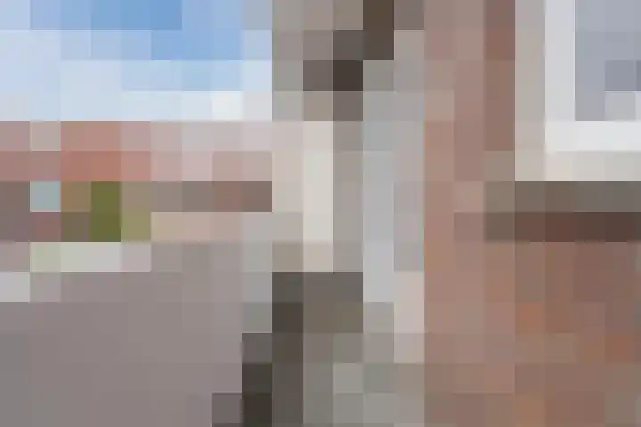 Kamperfoeliestraat 69 Den Haag thumbnail 38