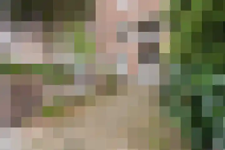 Kamperfoeliestraat 69 Den Haag thumbnail 4