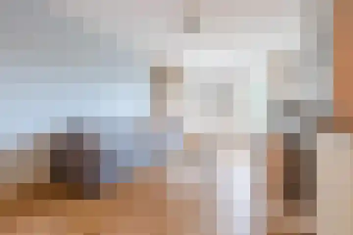 Kamperfoeliestraat 69 Den Haag thumbnail 8