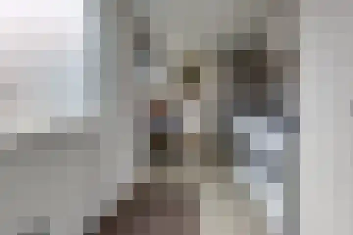 Kamperfoeliestraat 7 Musselkanaal thumbnail 20