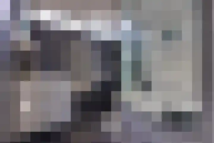 Kamperfoeliestraat 7 Musselkanaal thumbnail 22