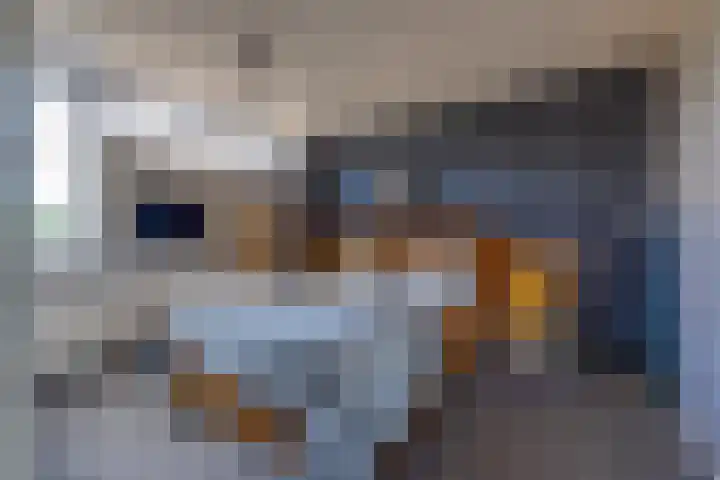 Kamperfoeliestraat 7 Musselkanaal thumbnail 27