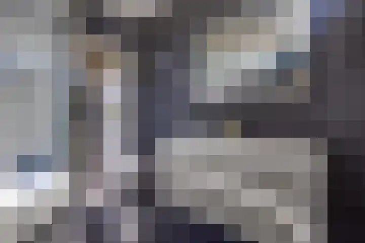 Kamperfoeliestraat 7 Musselkanaal thumbnail 4