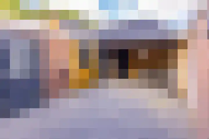 Kamperfoeliestraat 7 Musselkanaal thumbnail 5