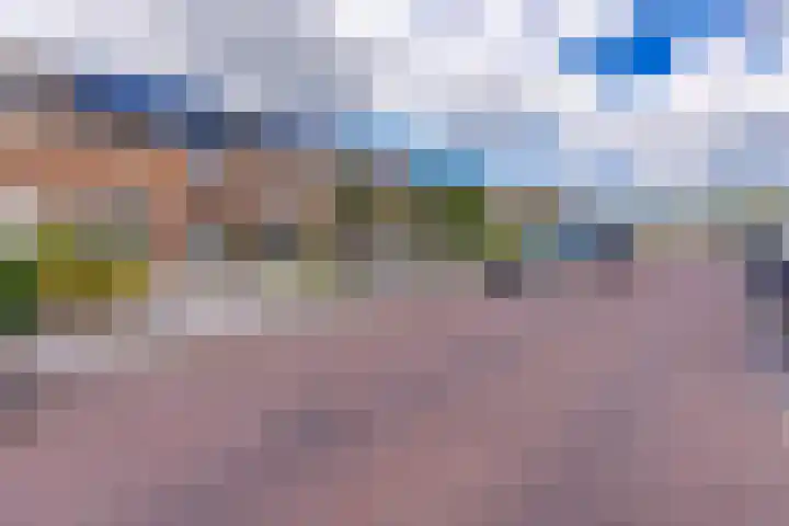 Kamperfoeliestraat 7 Musselkanaal thumbnail 7
