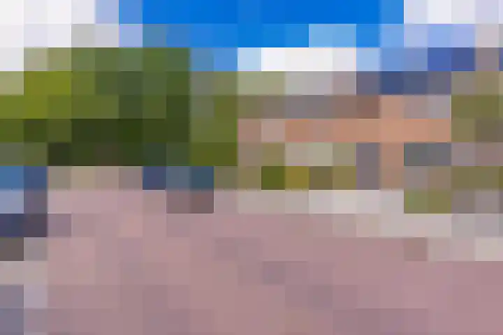 Kamperfoeliestraat 7 Musselkanaal thumbnail 8