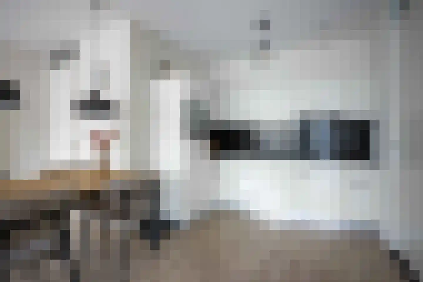 Kamperfoeliestraat 8 B Oss thumbnail 13