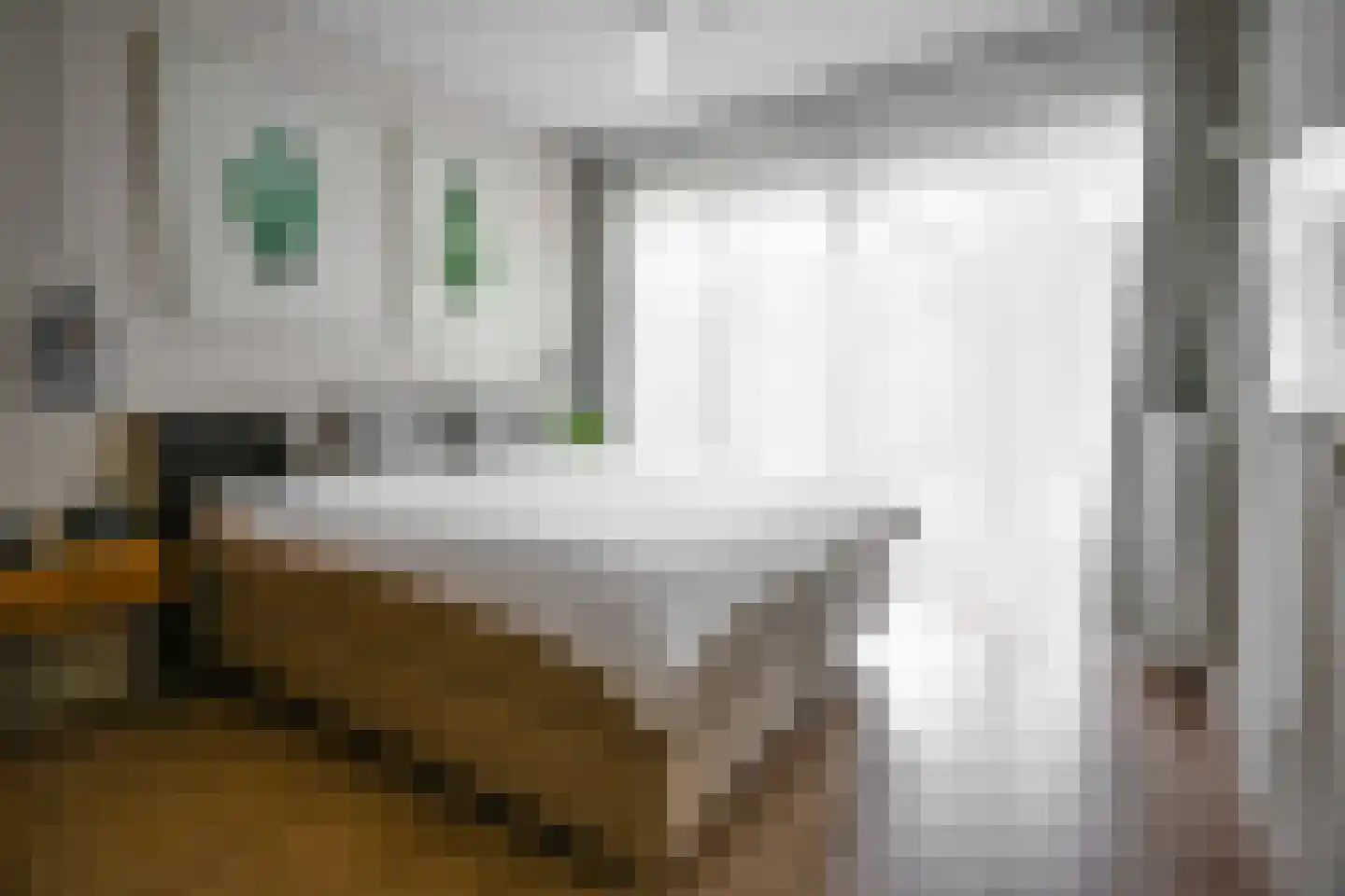 Kamperfoeliestraat 8 B Oss thumbnail 16