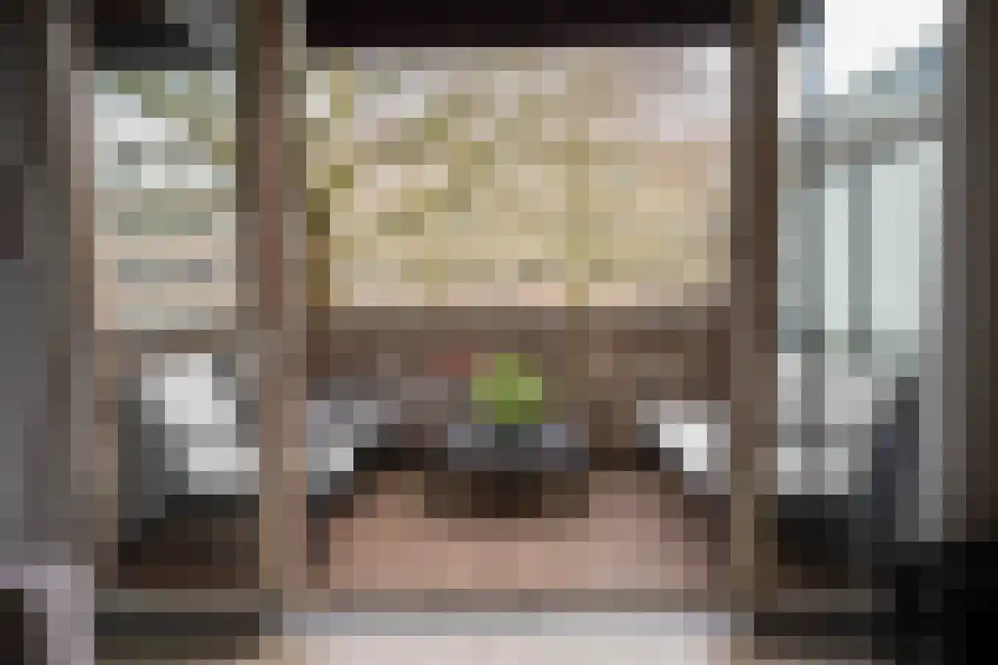 Kamperfoeliestraat 8 B Oss thumbnail 20
