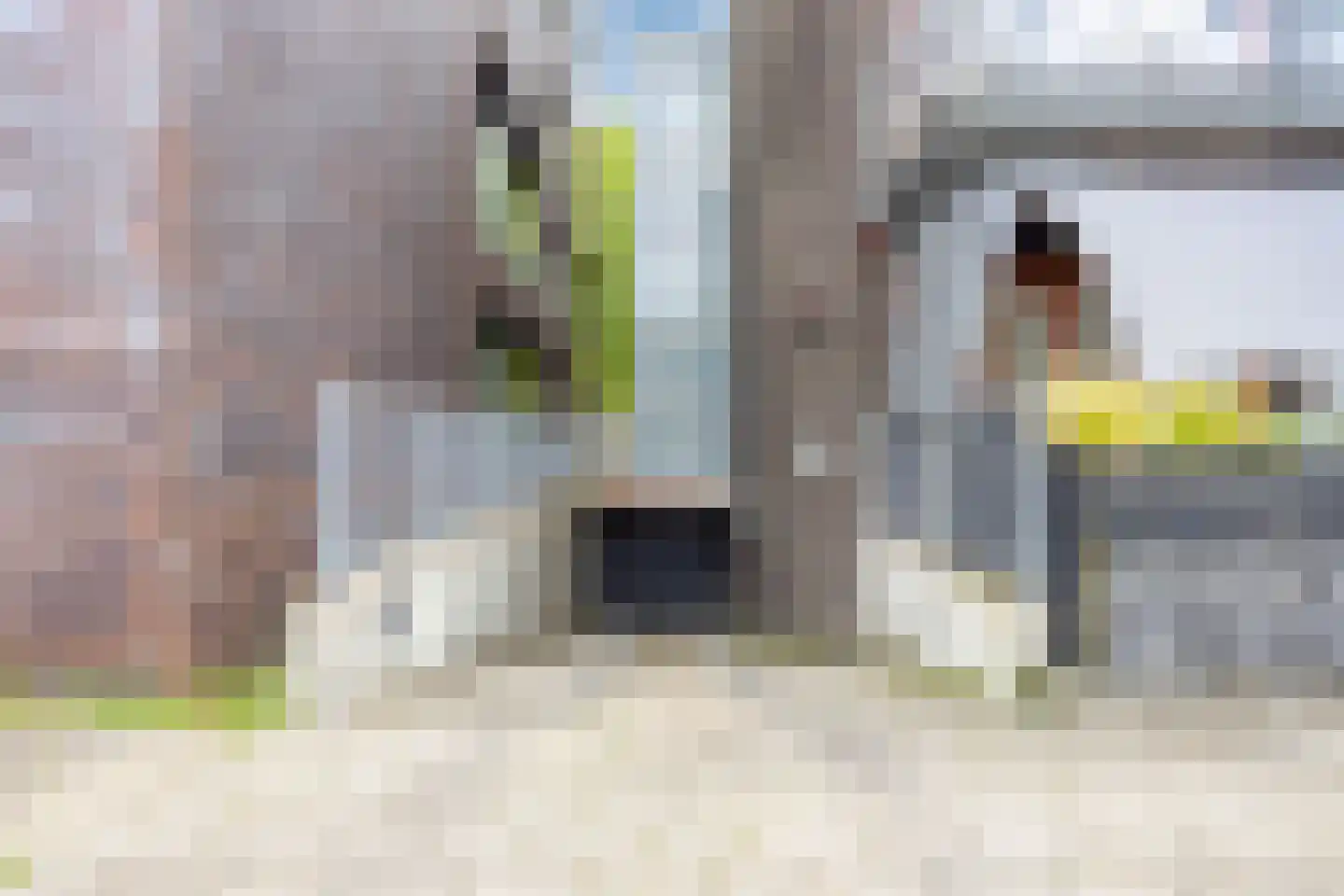 Kamperfoeliestraat 8 B Oss thumbnail 22