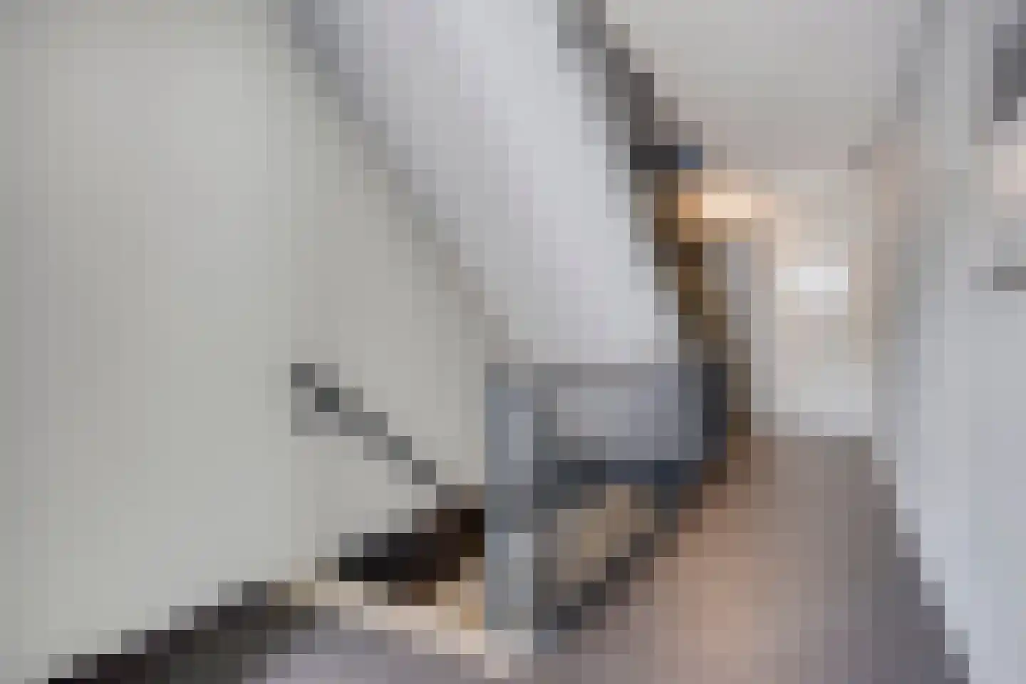 Kamperfoeliestraat 8 B Oss thumbnail 6