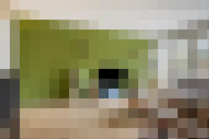 Kamperfoeliestraat 8 D Oss thumbnail 10