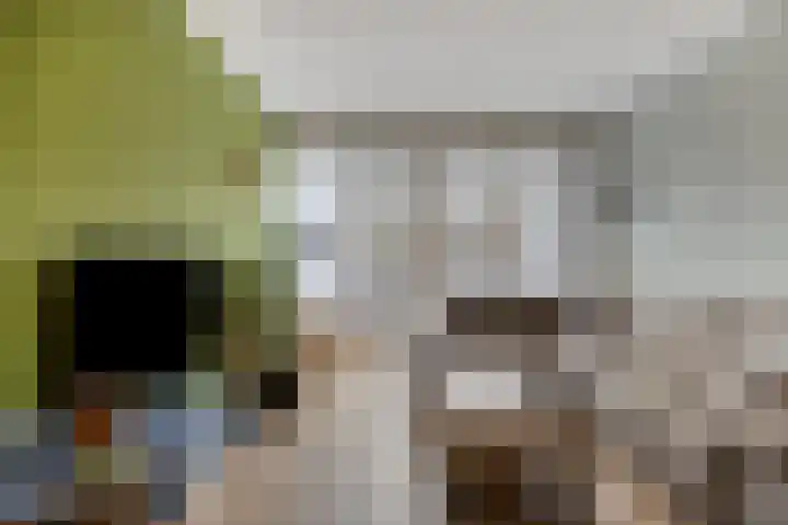 Kamperfoeliestraat 8 D Oss thumbnail 12