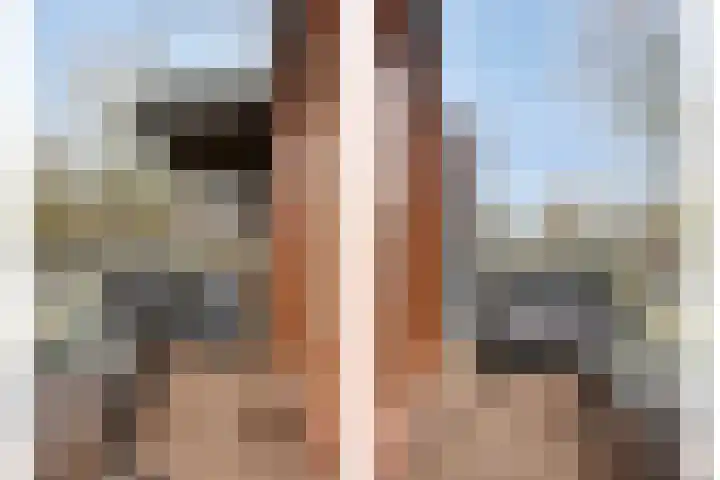 Kamperfoeliestraat 8 D Oss thumbnail 13