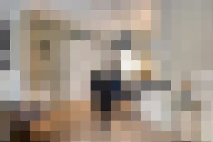Kamperfoeliestraat 8 D Oss thumbnail 15