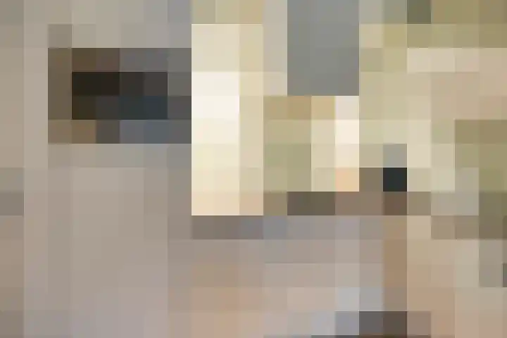 Kamperfoeliestraat 8 D Oss thumbnail 17