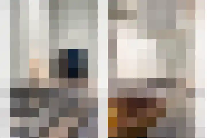 Kamperfoeliestraat 8 D Oss thumbnail 18