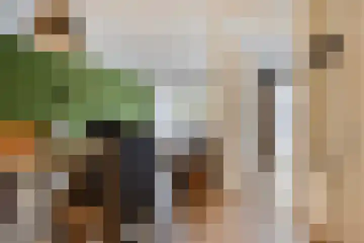 Kamperfoeliestraat 8 D Oss thumbnail 20