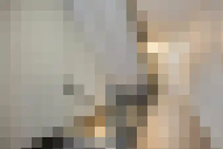 Kamperfoeliestraat 8 D Oss thumbnail 27