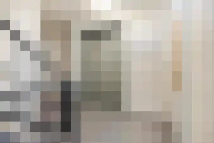 Kamperfoeliestraat 8 D Oss thumbnail 28