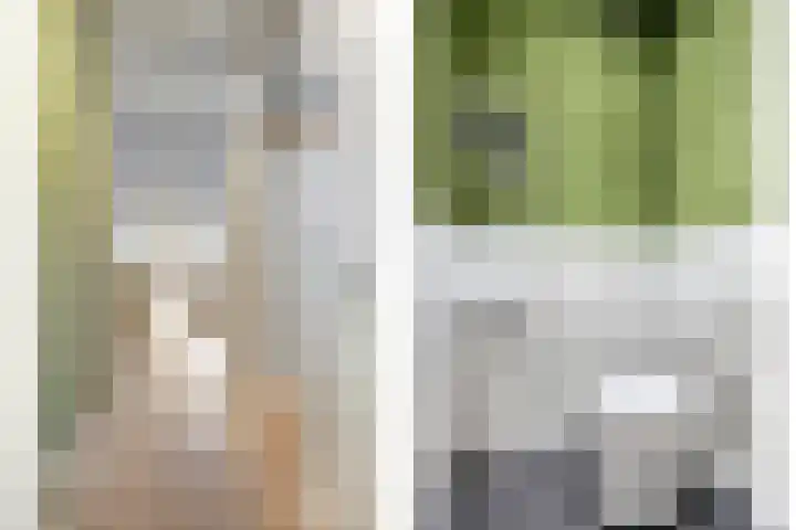 Kamperfoeliestraat 8 D Oss thumbnail 8