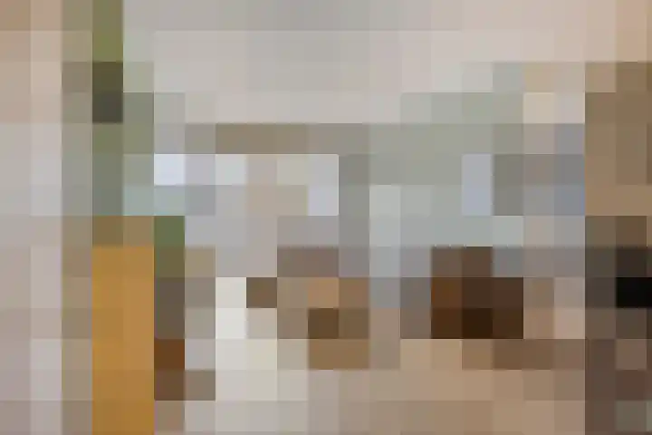 Kamperfoeliestraat 8 D Oss thumbnail 9