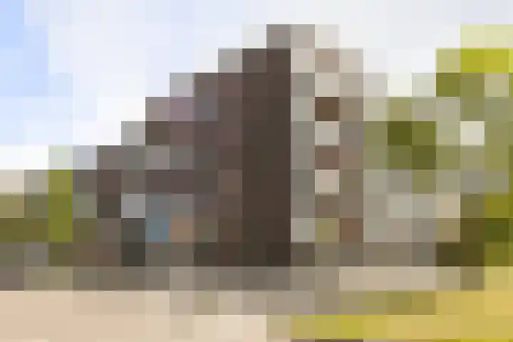 Kamperfoeliestraat 8 G in Oss