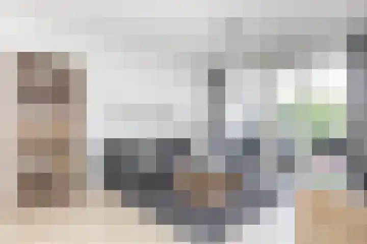 Kamperfoeliestraat 8 G Oss thumbnail 10