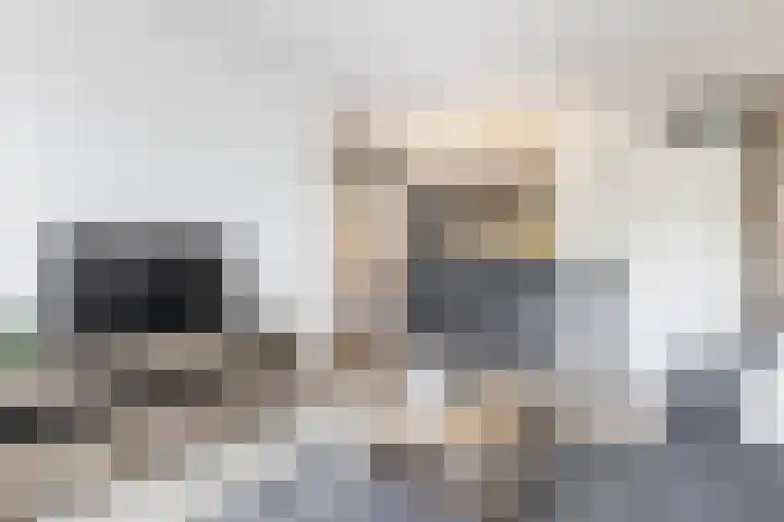 Kamperfoeliestraat 8 G Oss thumbnail 11