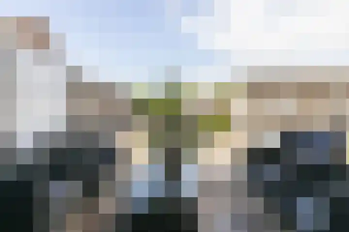 Kamperfoeliestraat 8 G Oss thumbnail 13