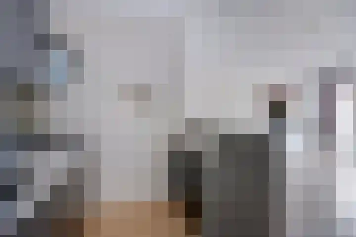 Kamperfoeliestraat 8 G Oss thumbnail 15