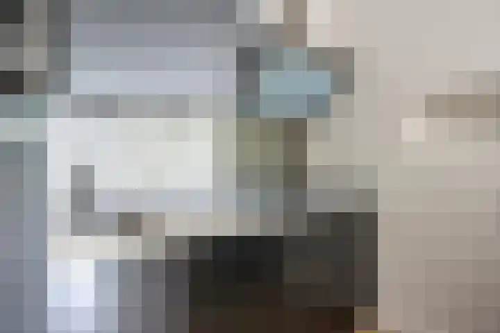 Kamperfoeliestraat 8 G Oss thumbnail 16