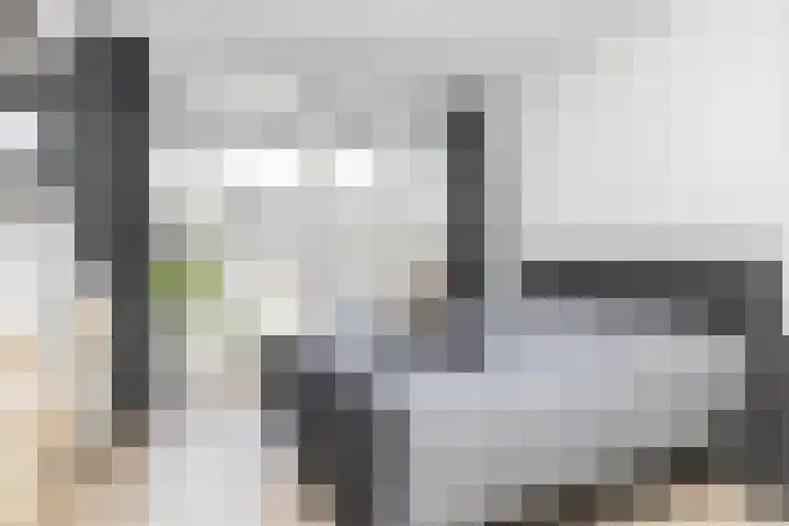 Kamperfoeliestraat 8 G Oss thumbnail 19