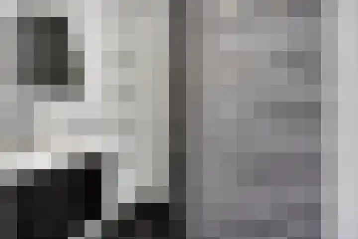 Kamperfoeliestraat 8 G Oss thumbnail 22