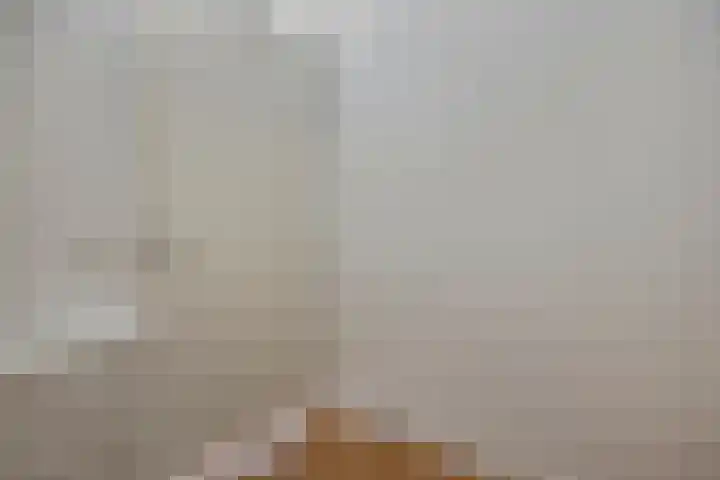 Kamperfoeliestraat 8 G Oss thumbnail 24