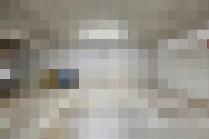 Kamperfoeliestraat 8 G Oss thumbnail 28