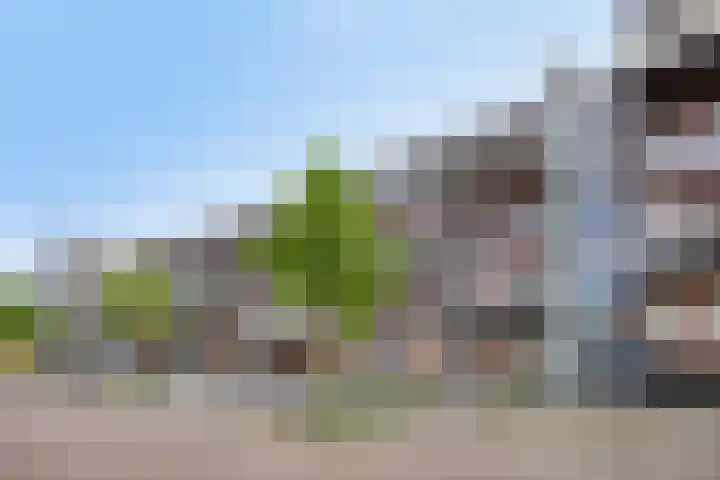 Kamperfoeliestraat 8 G Oss thumbnail 30