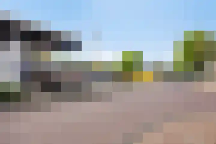 Kamperfoeliestraat 8 G Oss thumbnail 31