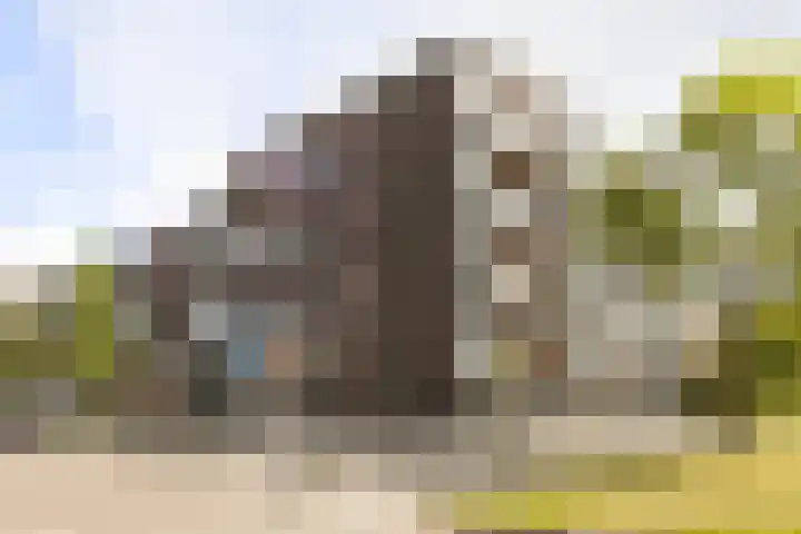 Kamperfoeliestraat 8 G Oss thumbnail 34