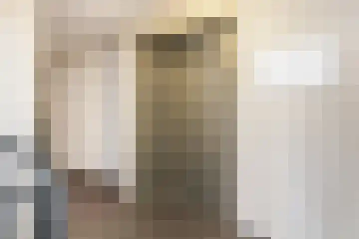 Kamperfoeliestraat 8 G Oss thumbnail 5