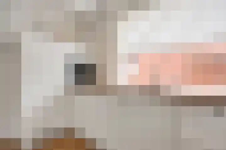 Kamperfoeliestraat 8 St. Willebrord thumbnail 10