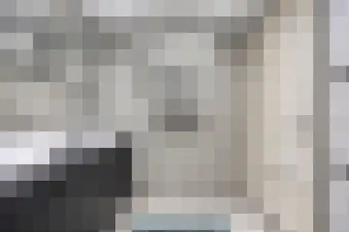 Kamperfoeliestraat 8 St. Willebrord thumbnail 18