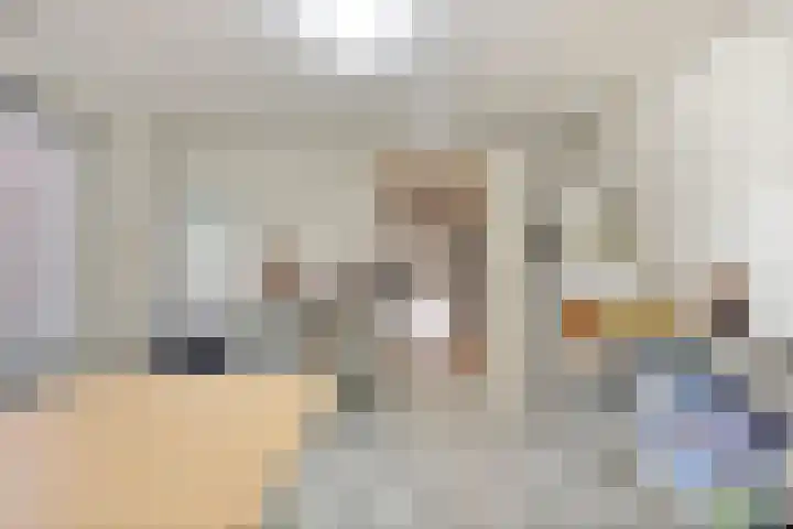 Kamperfoeliestraat 8 St. Willebrord thumbnail 22